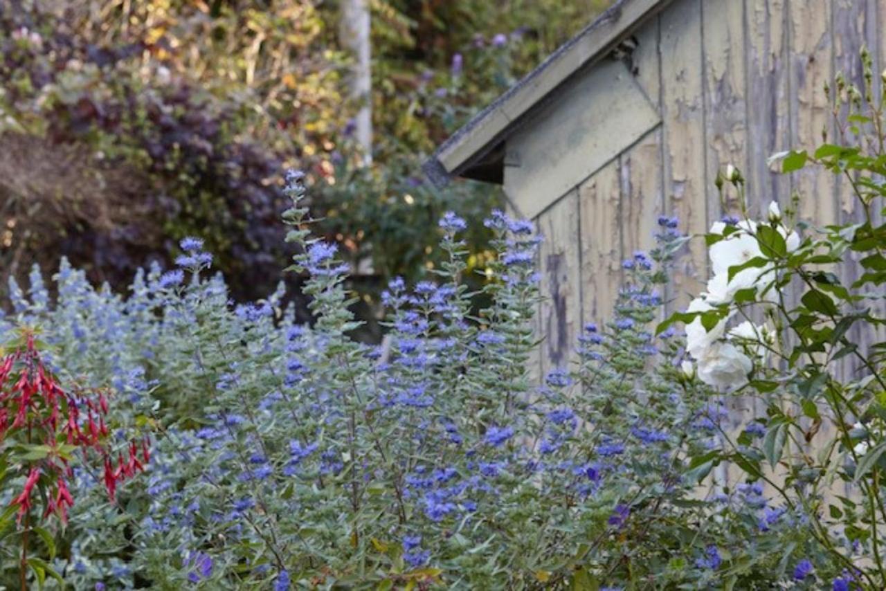 Lavender Cottage Beer Dış mekan fotoğraf